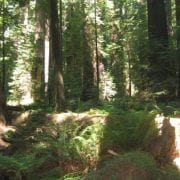 img_2379